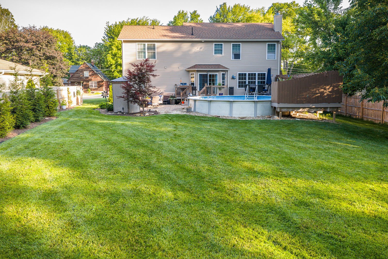backyard green lawn pool lawn care grass