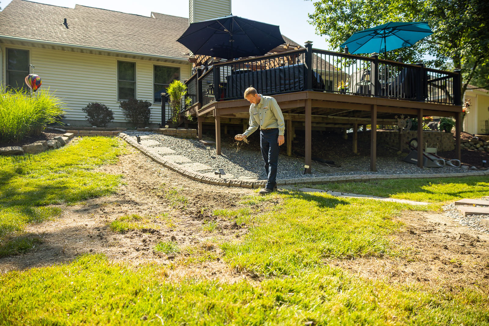 crew laying grass seed over dead lawn