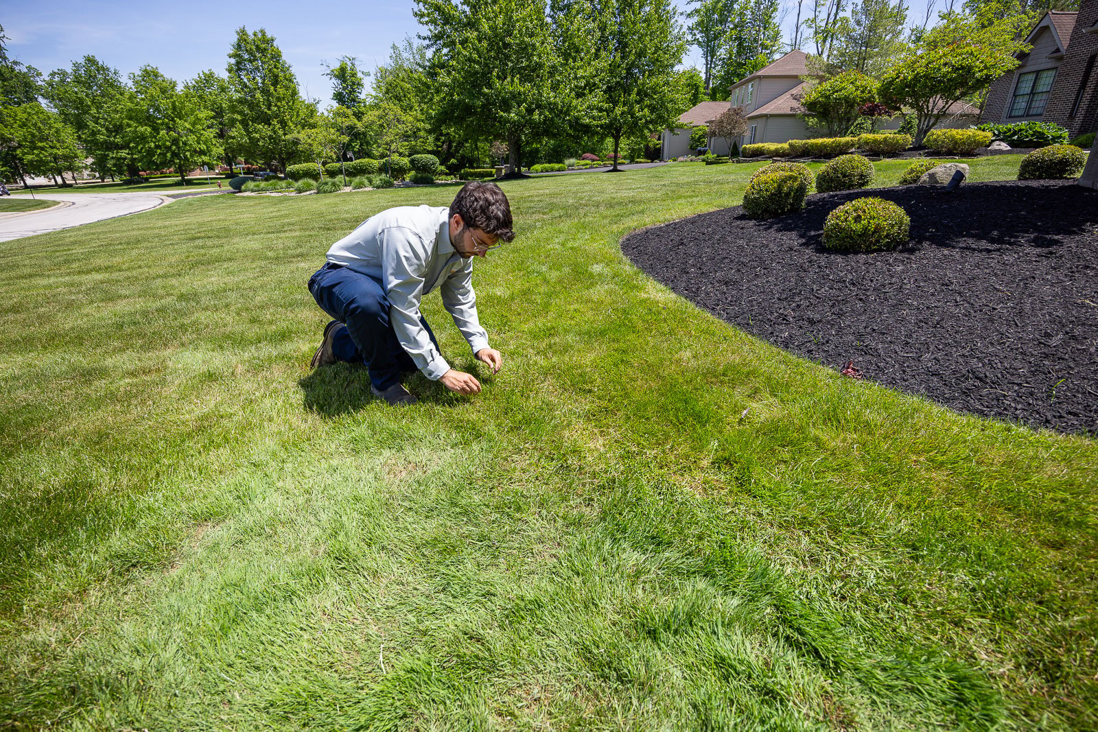 crew taking look at grass lawn 2