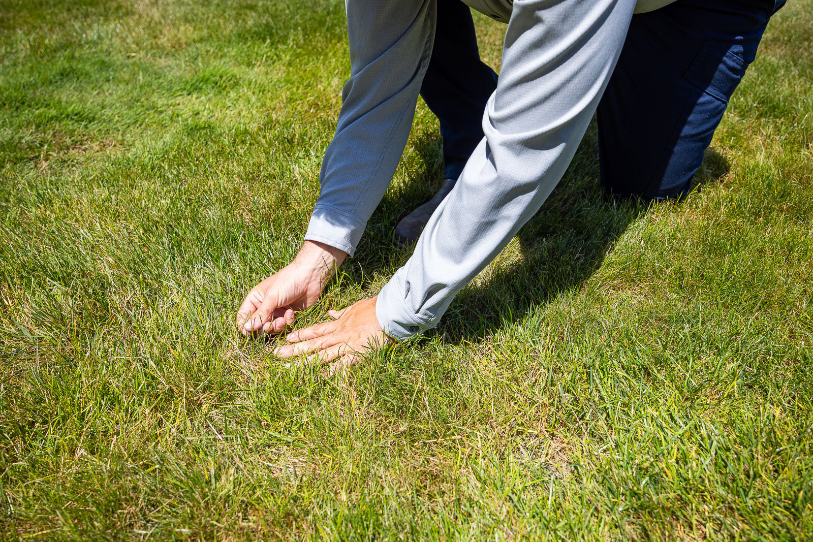 crew taking look at grass lawn