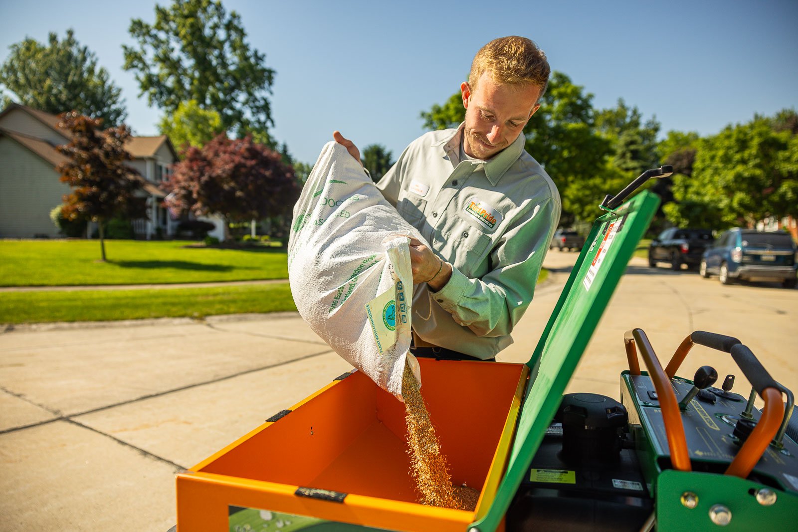grass seed crew lawn care