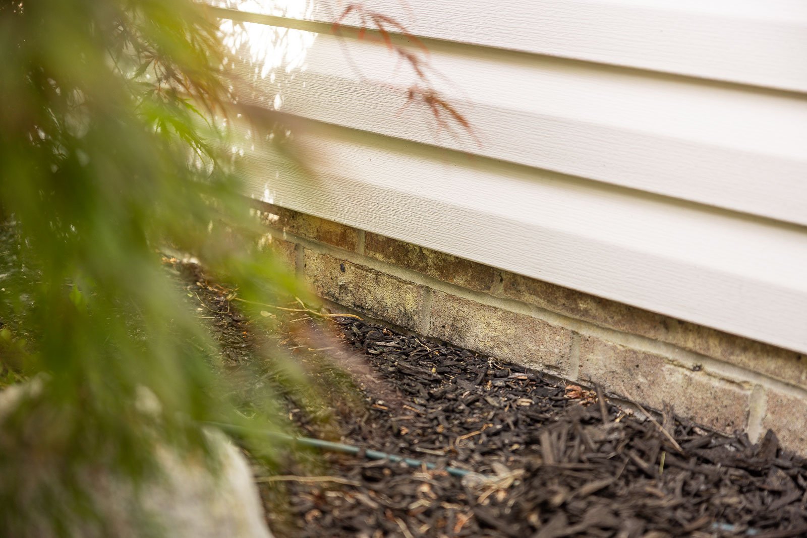 mulch along foundation pest control