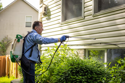 pest control sealing house