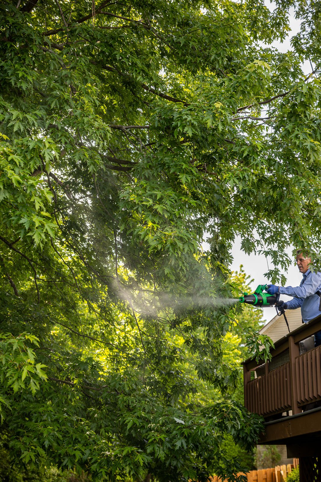 pest control crew spraying yard 4