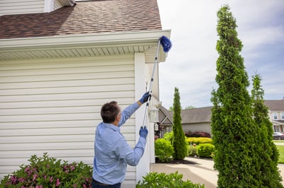 pest control service on house