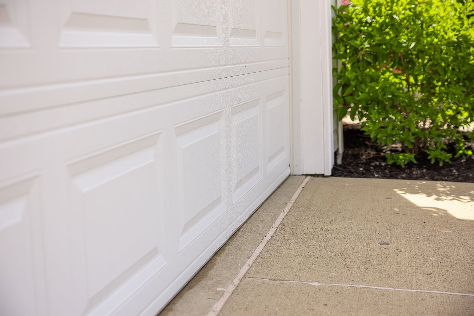 pest control garage door