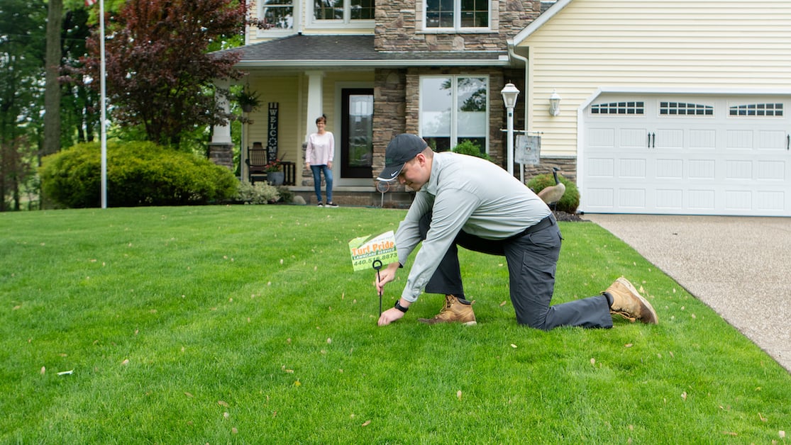 Account-manager flag-grass-customer