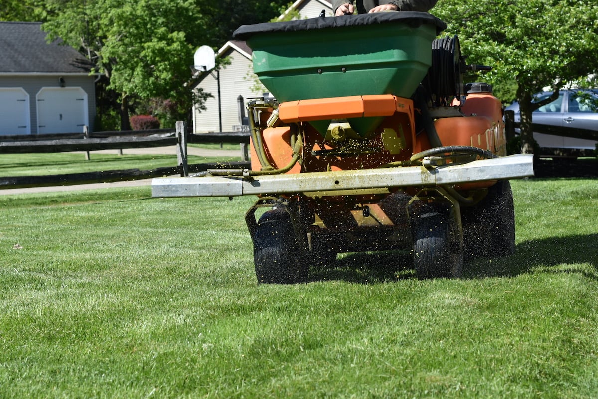 fertilizing lawn with machine