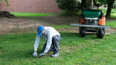 technician looking closely at lawn