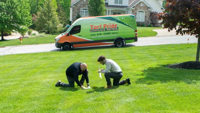 technician looking at lawn 