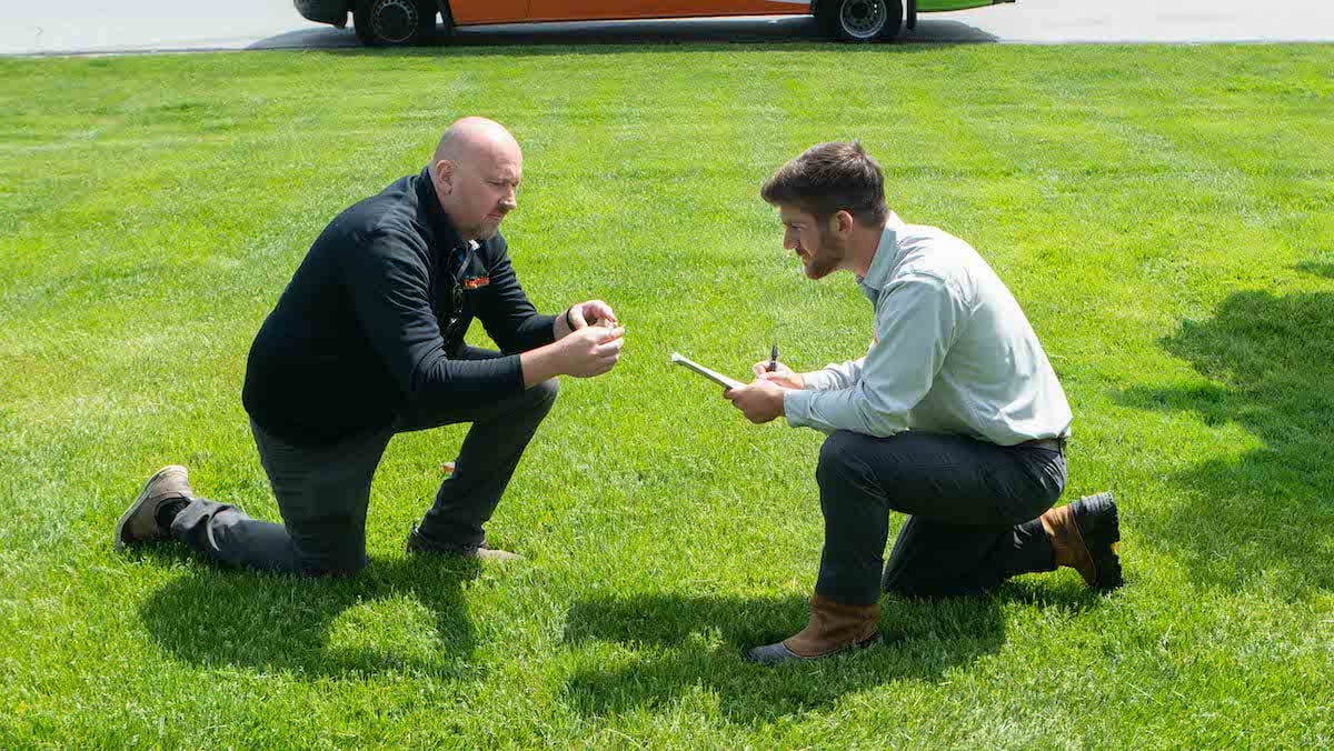 Technicians kneeling to control lawn from disease