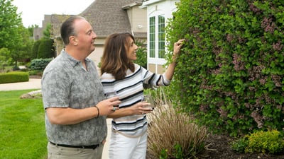 homeowners looking closely at shrubs 