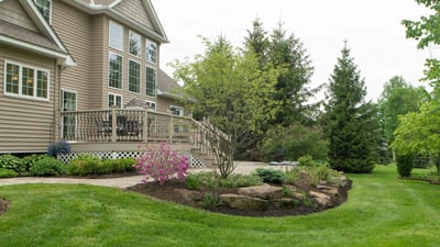 beautiful green lawn 