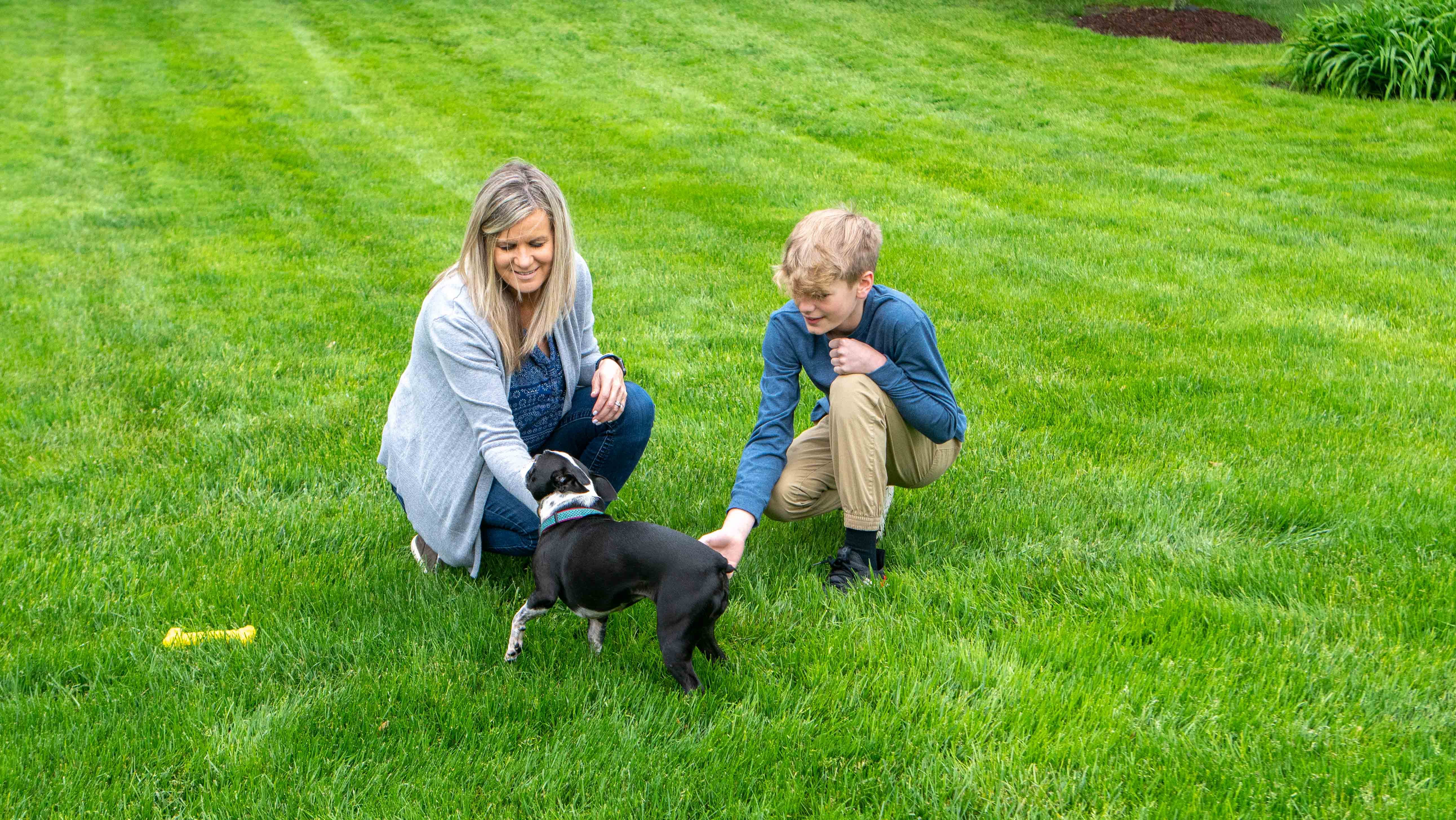 homeowner playing with dog on green grass