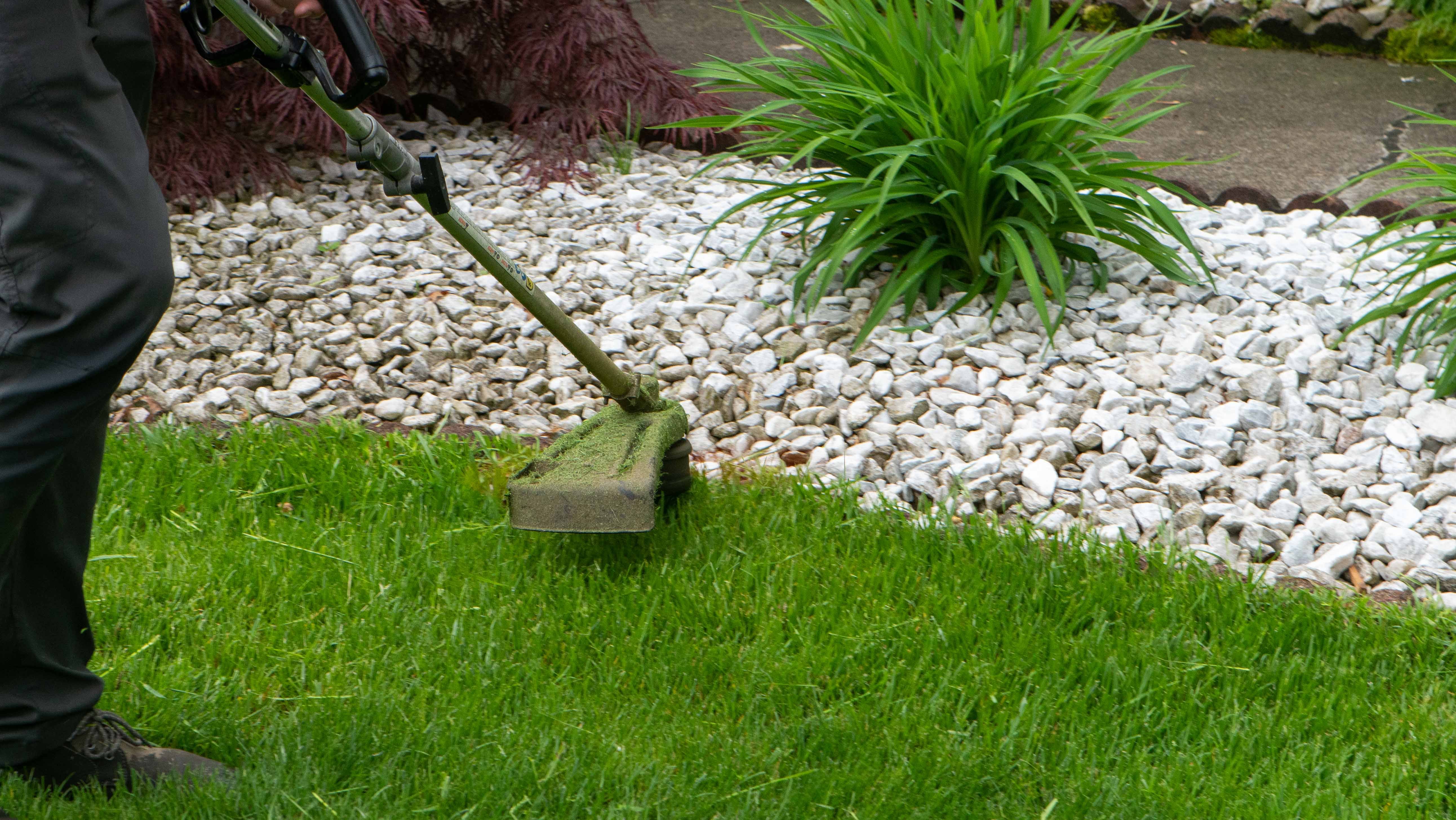 grass trimmer edging garden beds