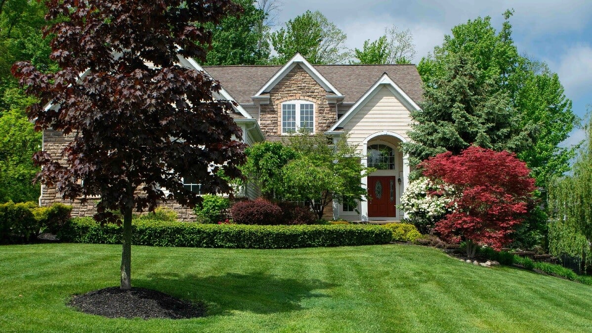 front of home with green grass after lawn care