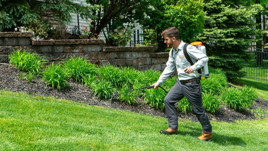 lawn care technician spraying for weeds in Ohio lawn