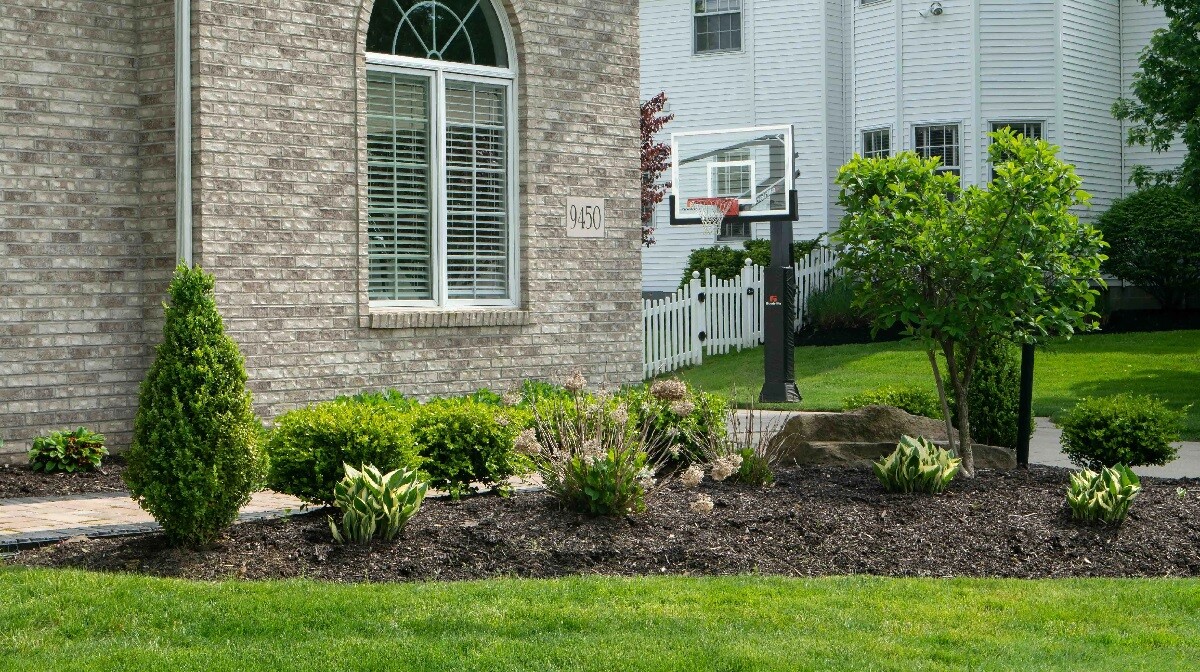 neatly trimmed trees and shrubs 