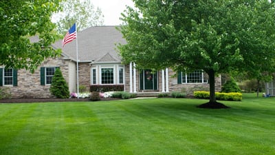 Tree and shrubs in front yard green lawn house