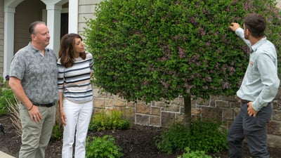 customer and crew looking at shrub 