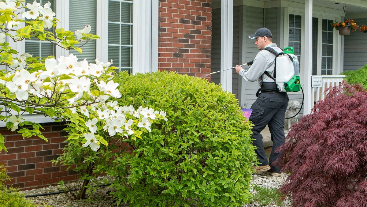 tech spraying perimeter of house to get rid of bugs 