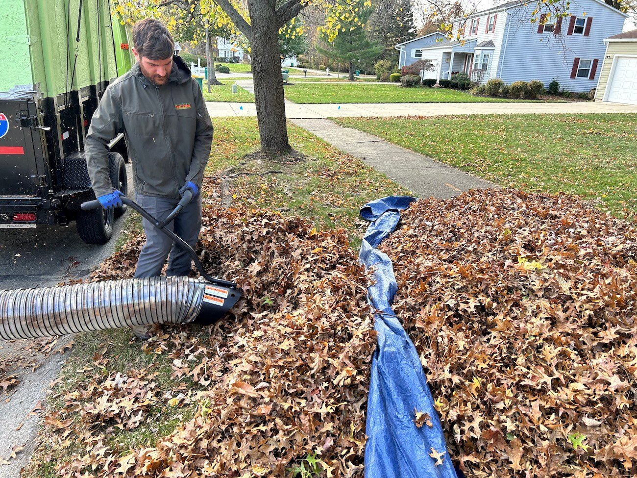 crew removing fallen leaves from lawn 