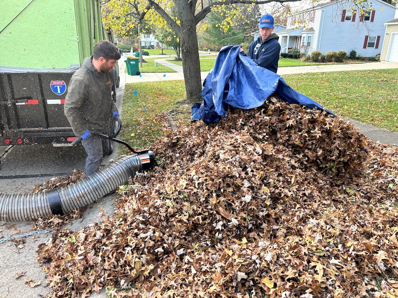 crew removing fallen leaves from lawn 5