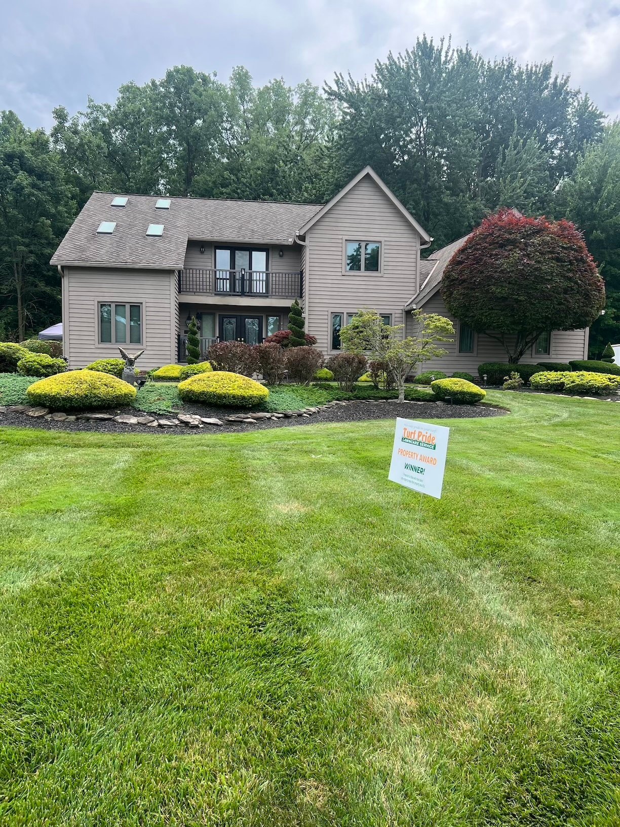 Lawn Contest 3