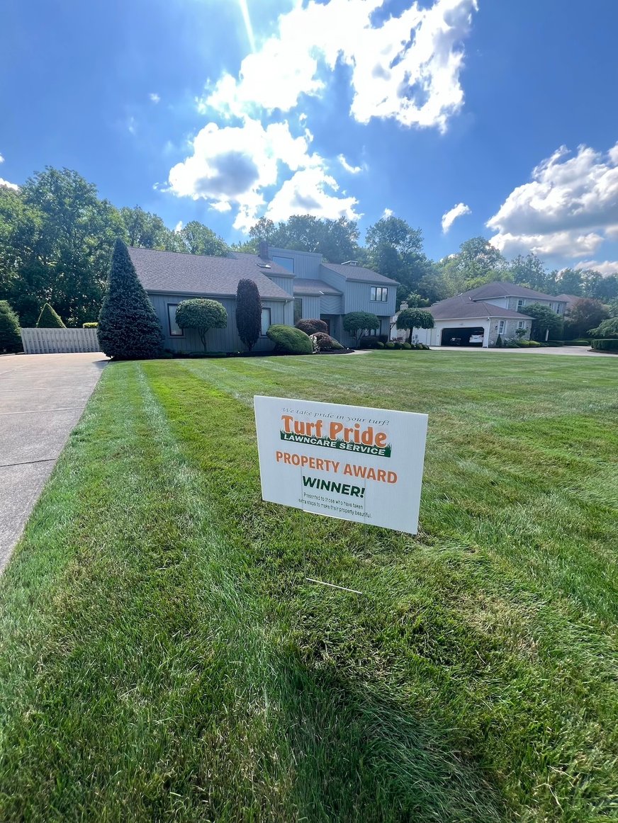 Lawn Contest