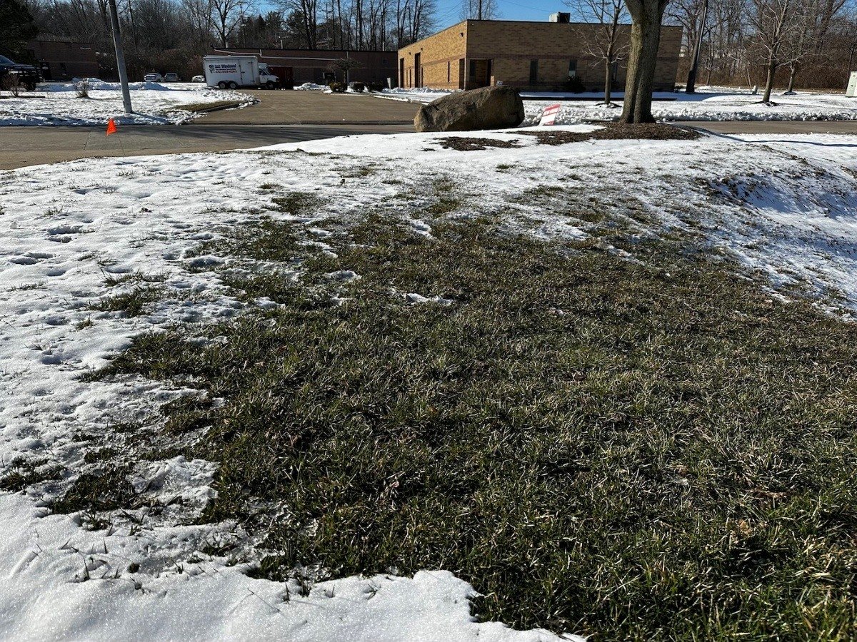 Snow melting revealing grass