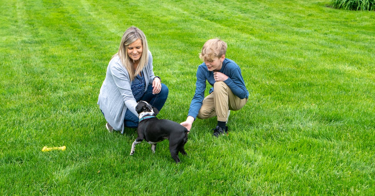 green grass customer and child playing with dog in yard