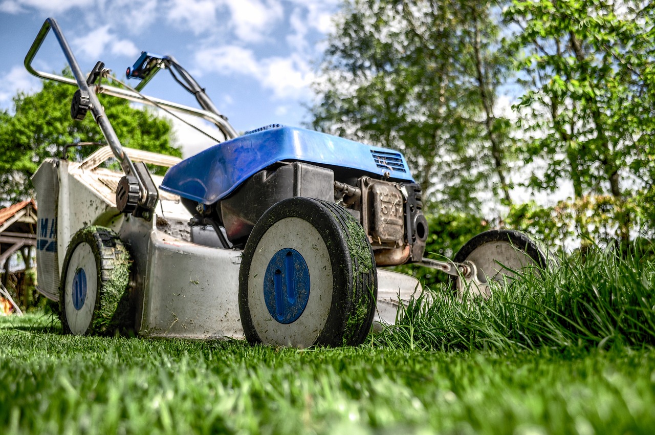 lawn mower mowing the grass in the sun