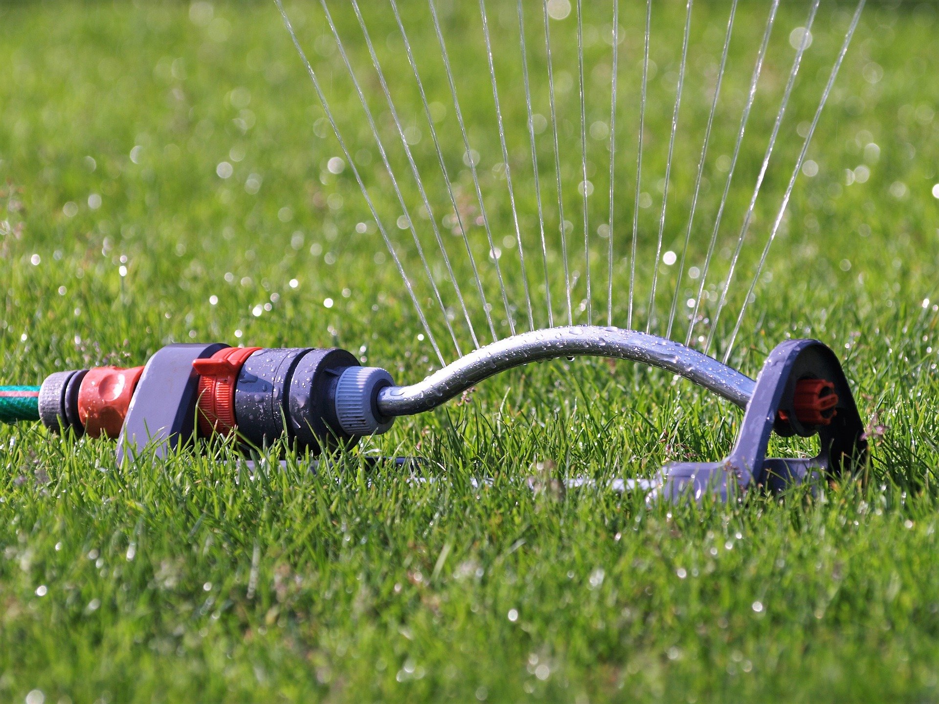 sprinkler watering lawn in backyard