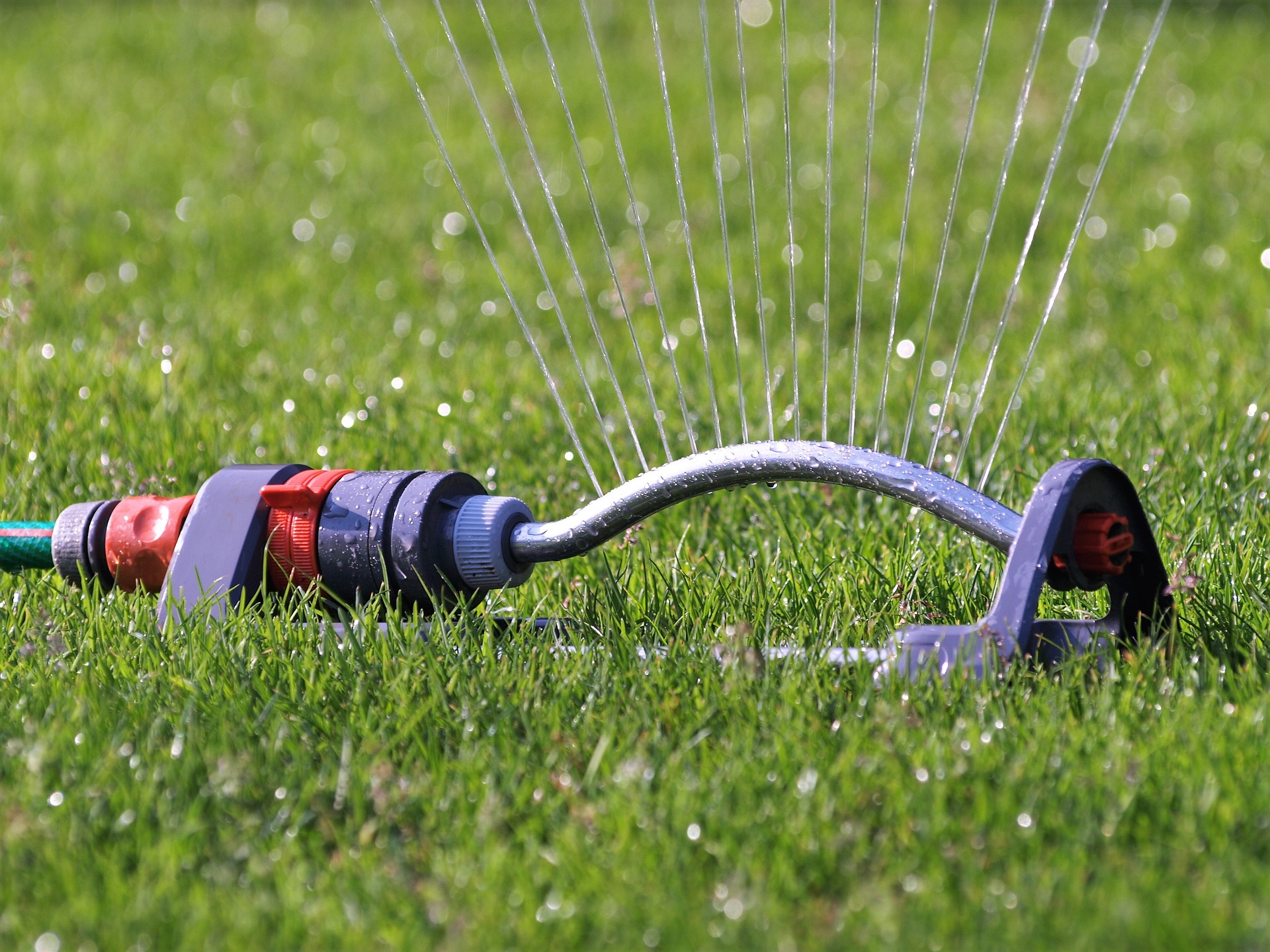 sprinkler watering lawn in backyard
