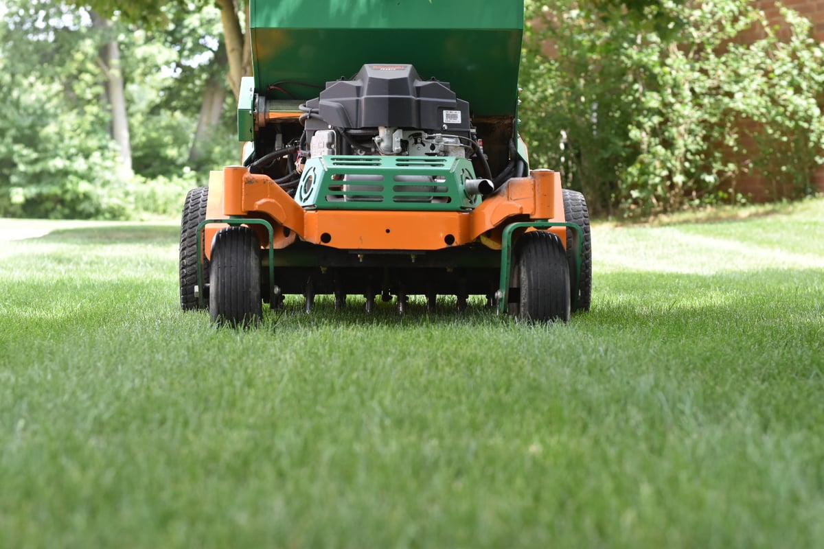 lawn aeration in Ohio yard