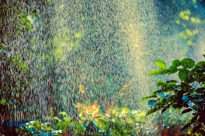 rain 