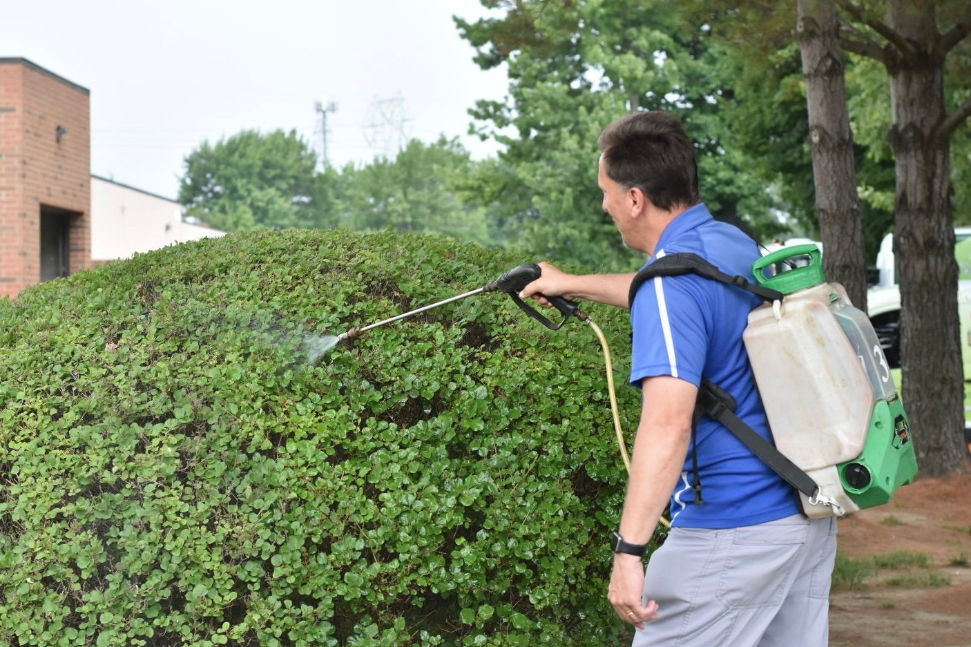 team member spraying shrub 1