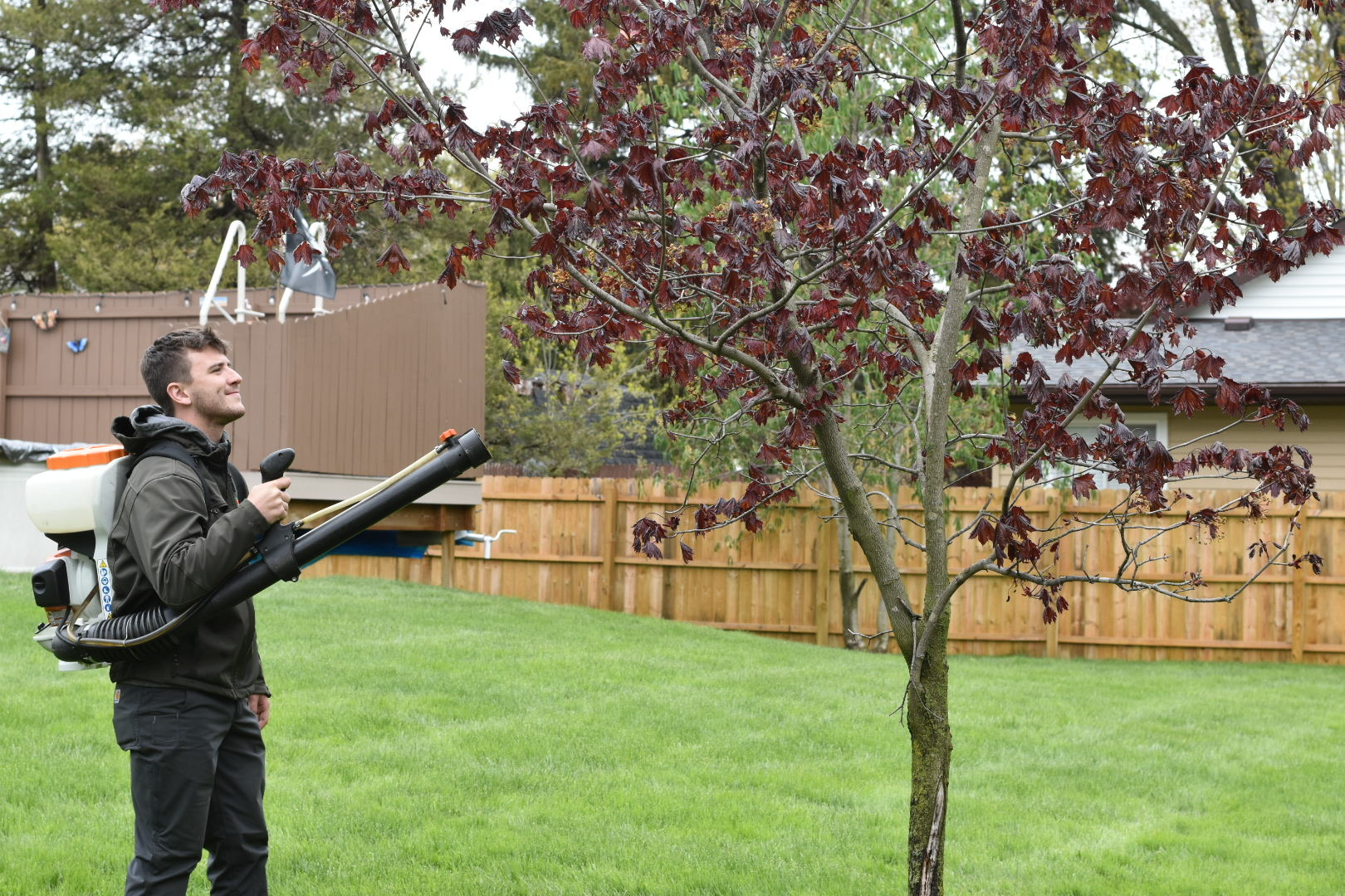 Crew spraying around trees for mosquitoes