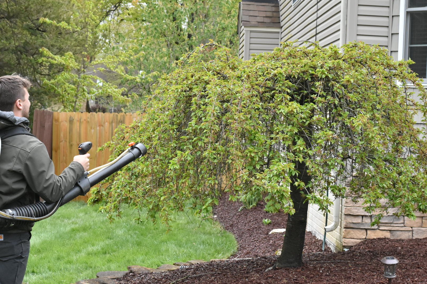 Crew spraying trees for mosquitoes near house