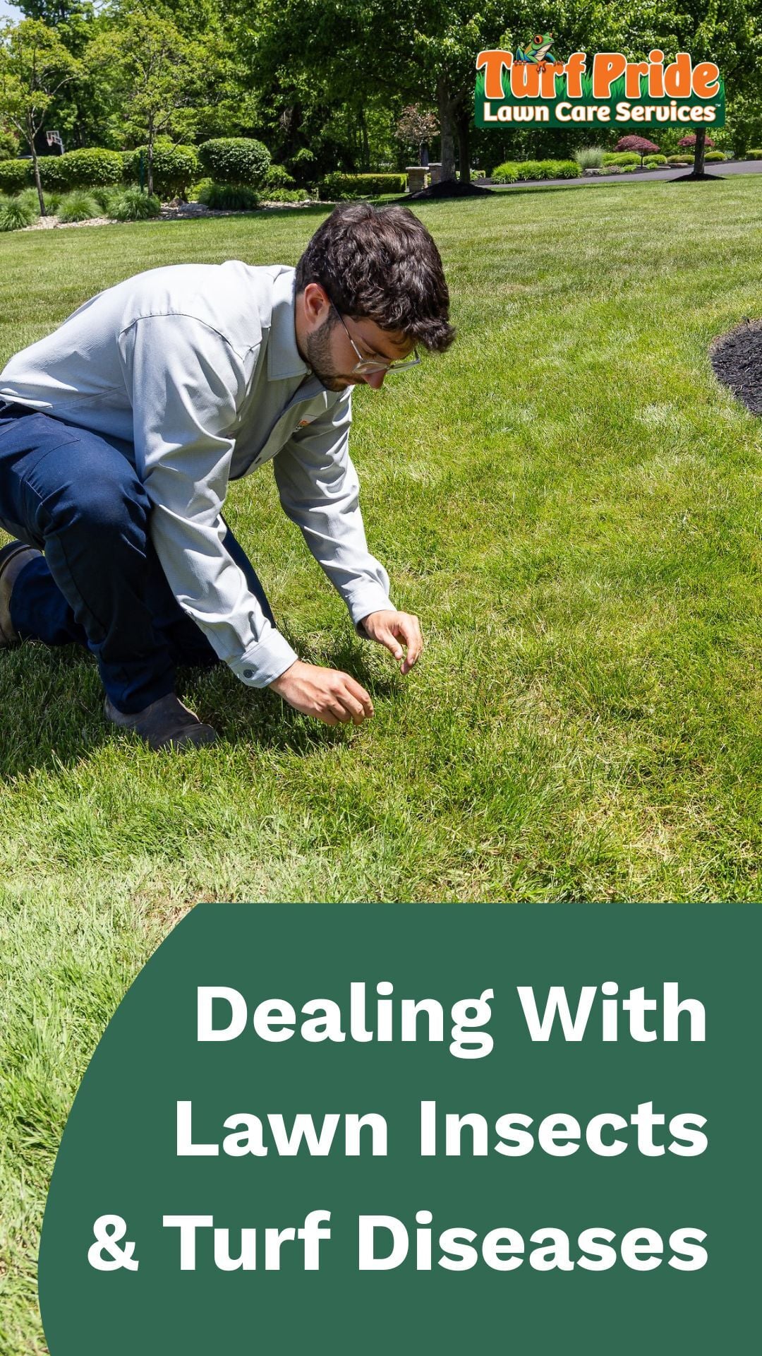 Dealing With Lawn Insects and Turf Diseases - Turf Pride Lawn Care