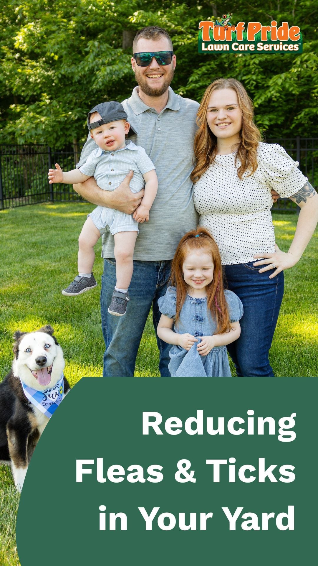 Flea and Tick Treatments for Yard - Turf Pride Lawn Care