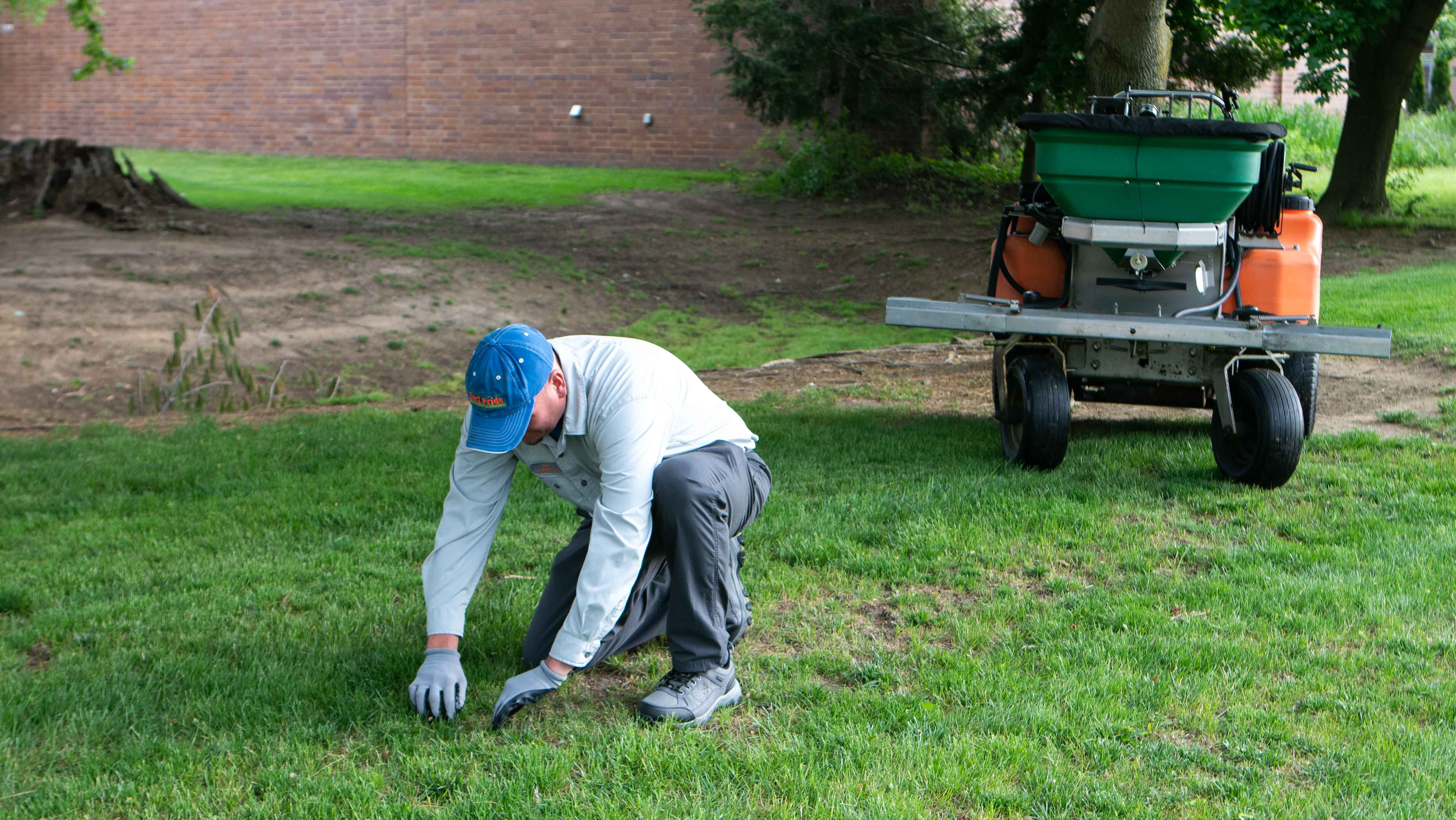 team member inspecting lawn 
