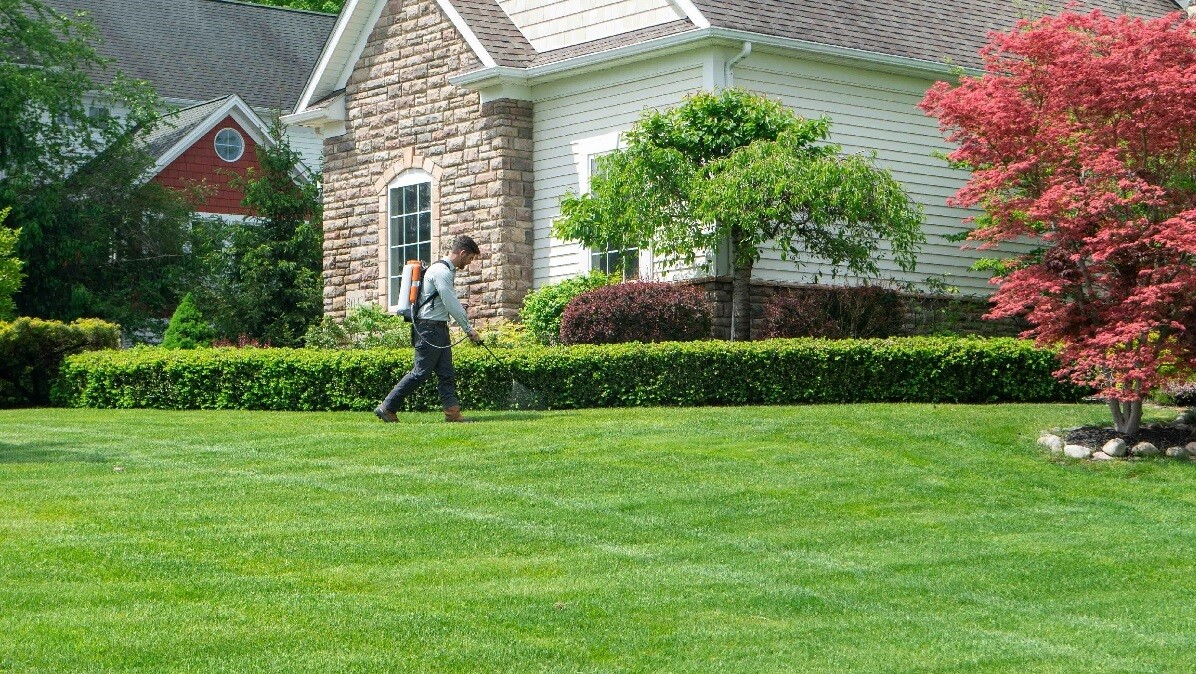 technician spraying lawn