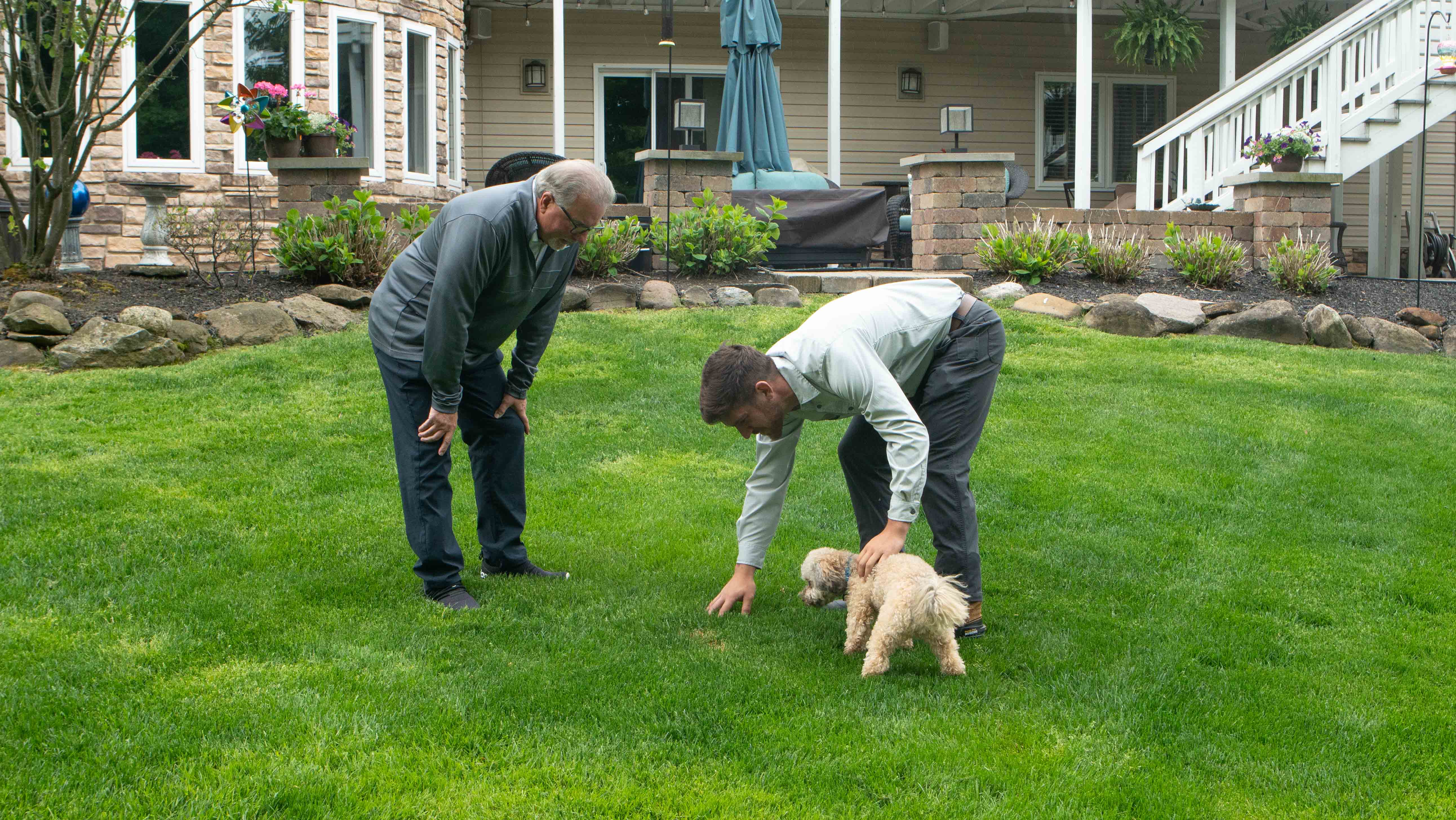 lawn care customer looking at grass with dog