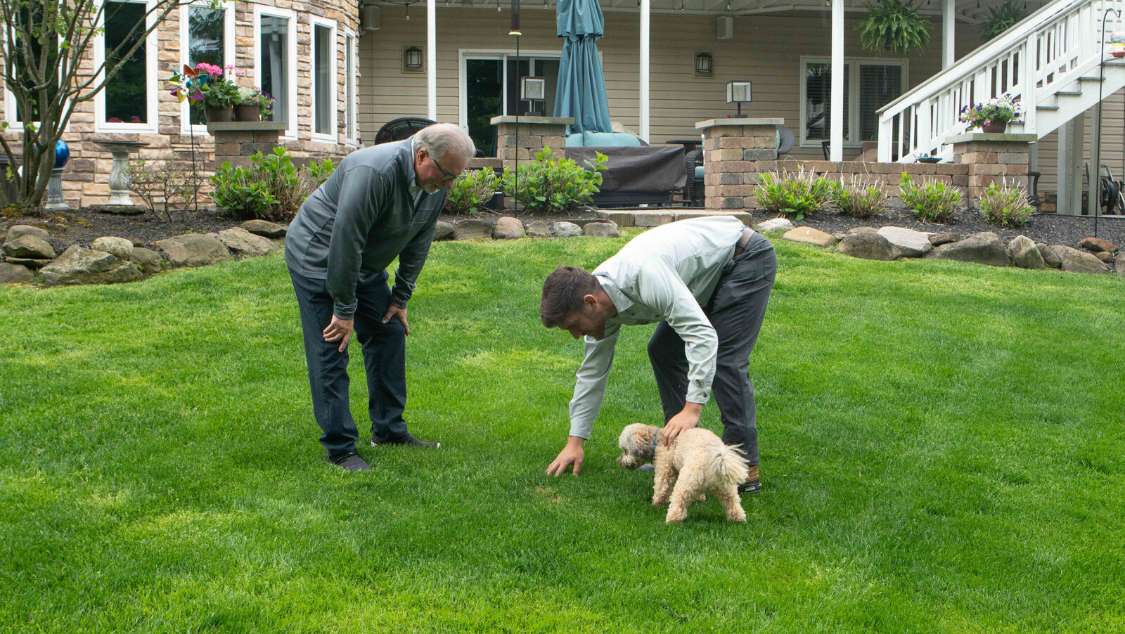 lawn care customer looking at grass with dog