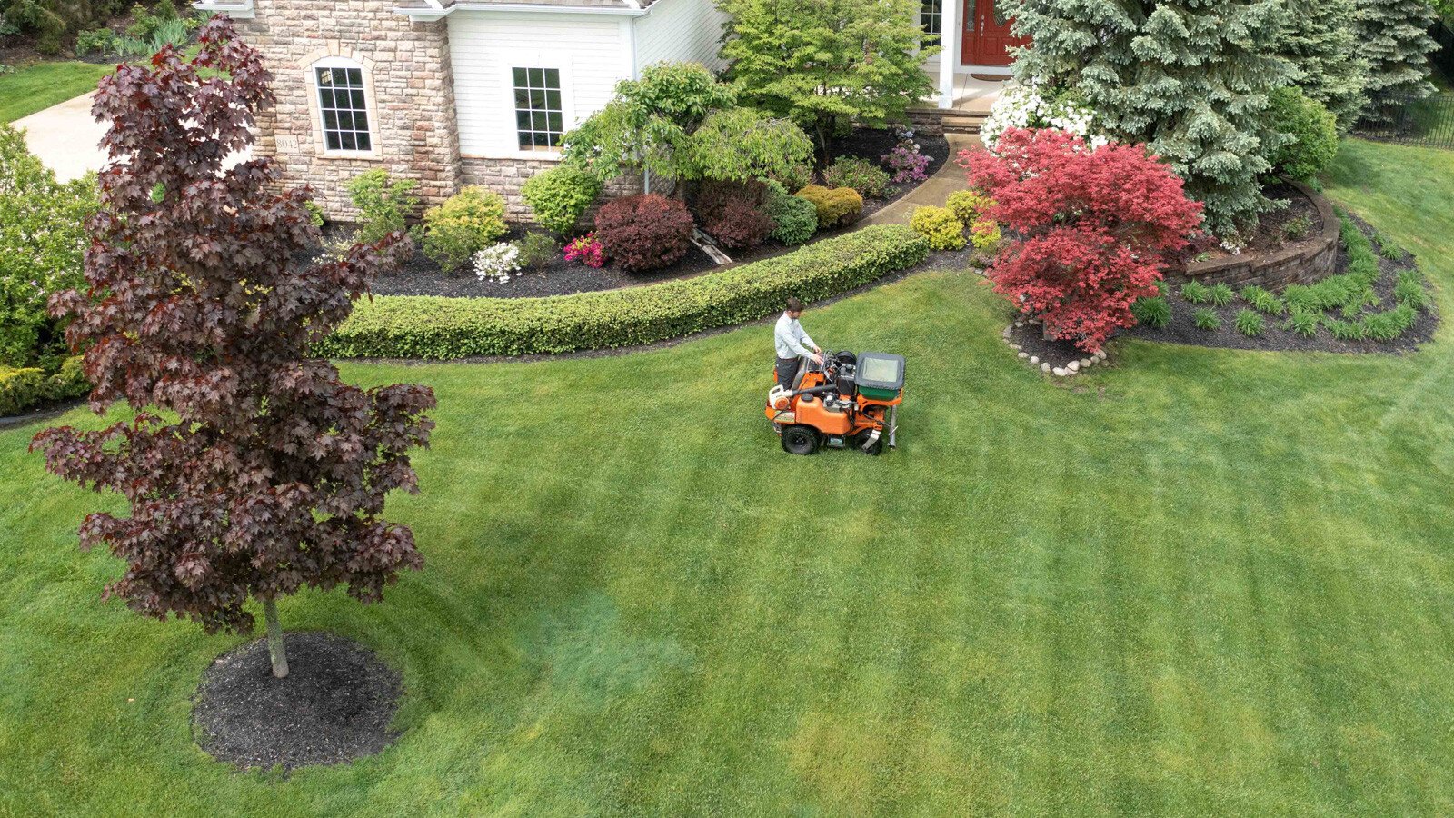 lawn care service fertilizing lush green lawn 