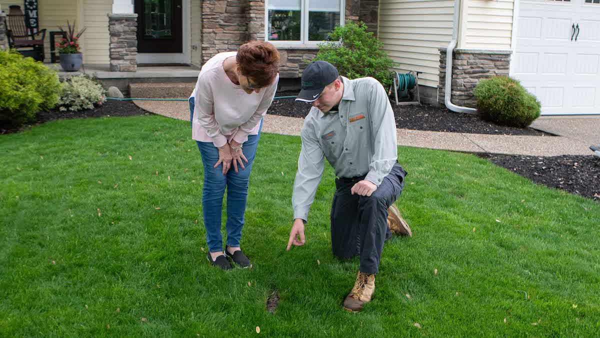 lawn technician and customer looking at grass