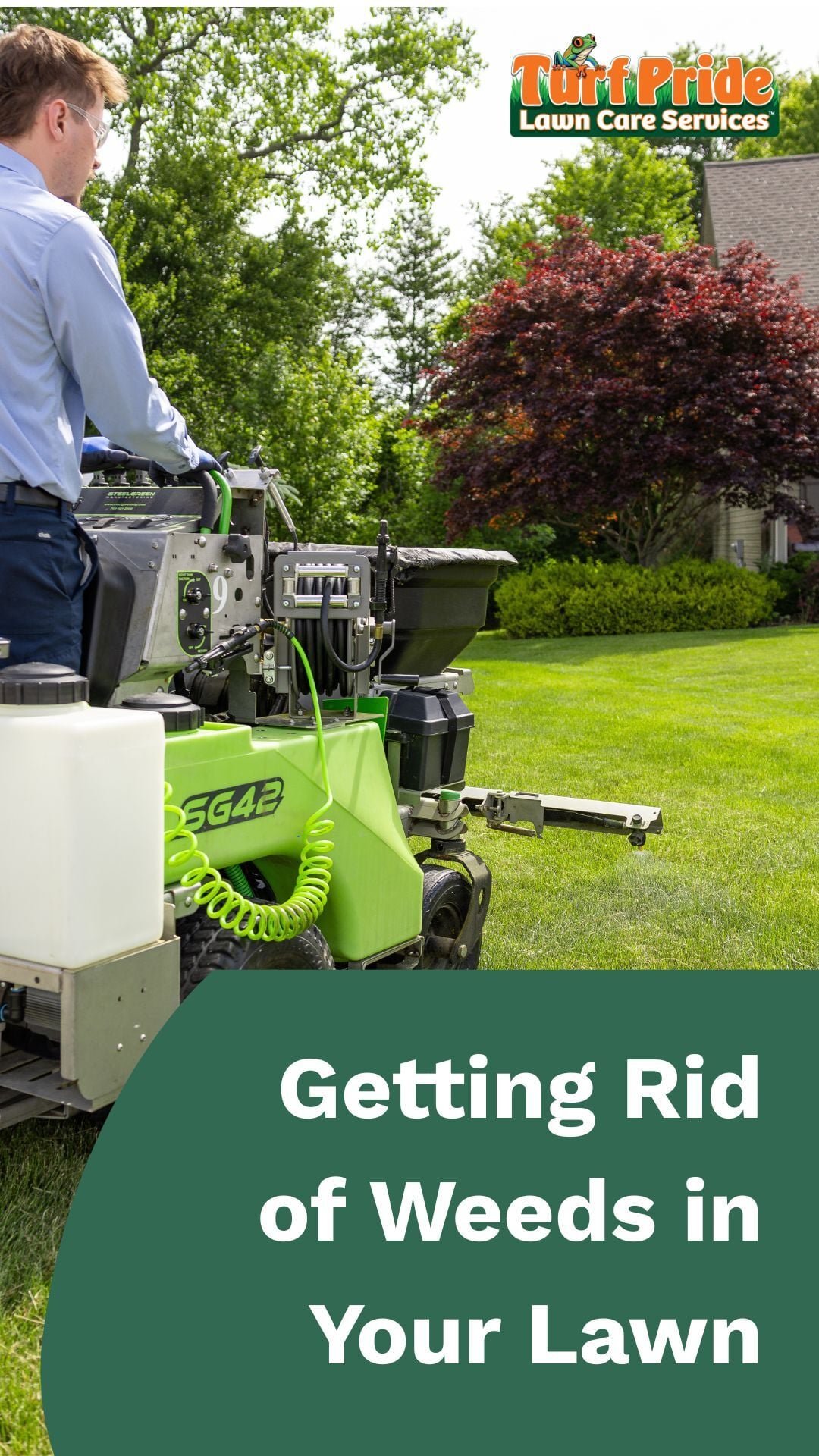 Pro Tips for Getting Rid of Lawn Weeds - Turf Pride Lawn Care