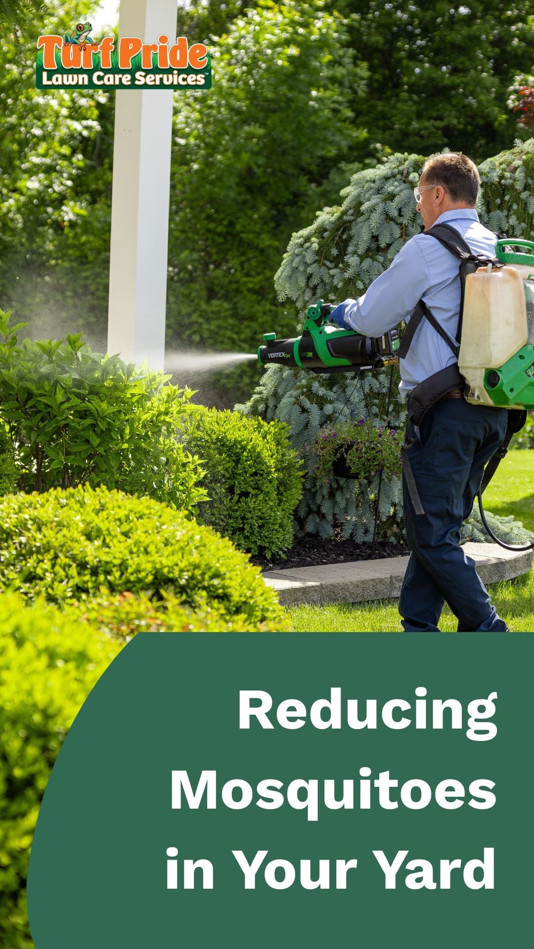 Reducing Mosquitoes in Your Yard - Turf Pride Lawn Care