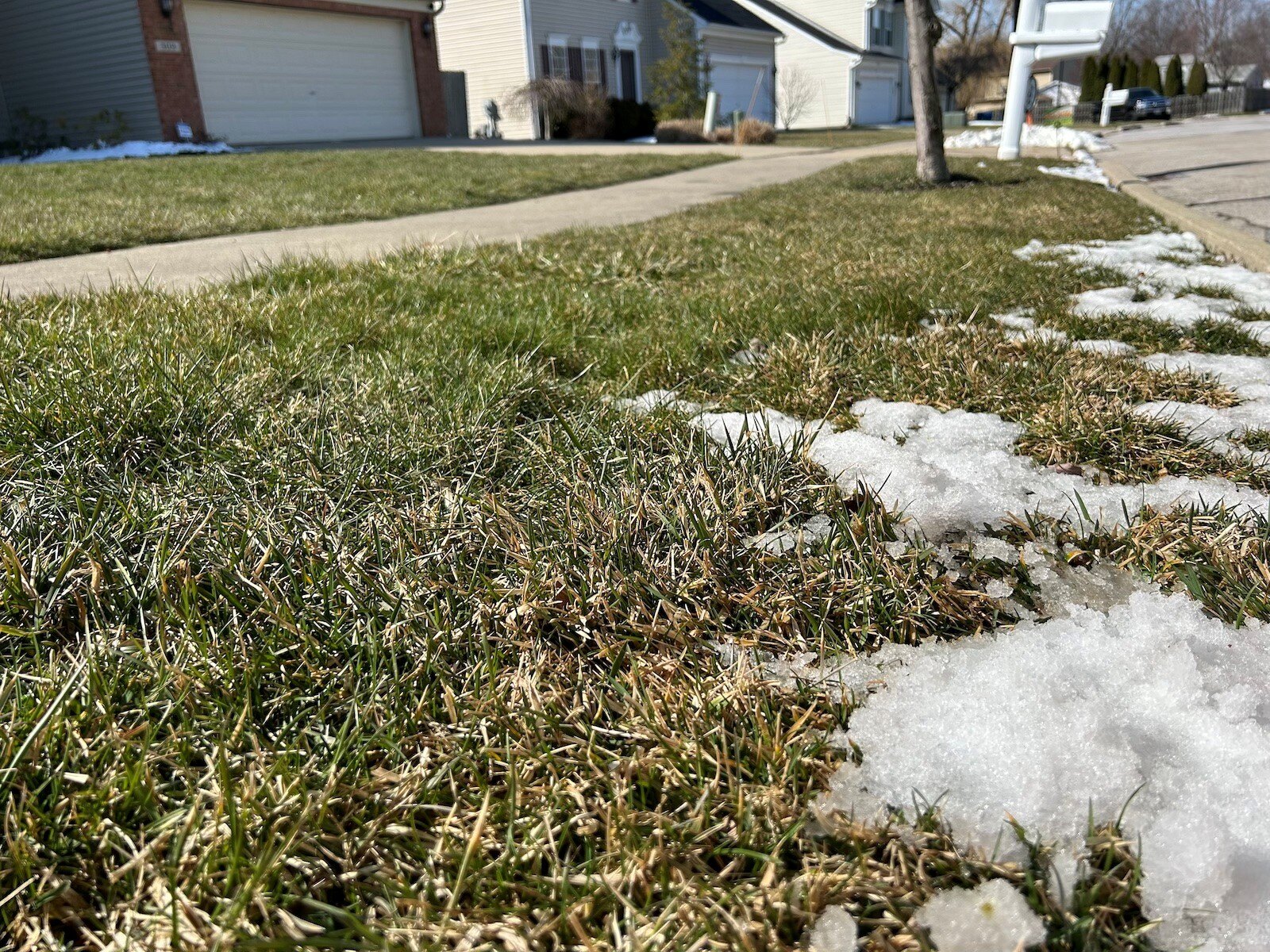 Snow melting revealing grass 1